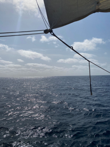 Sailing atmosphere on board