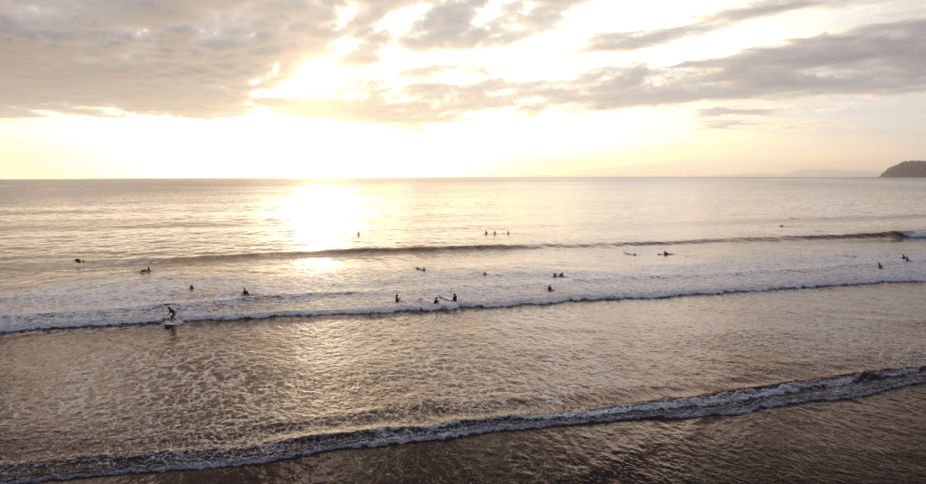 Surfen mit Ocean College in Jaco