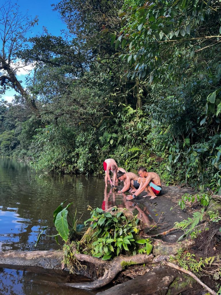 Szenen aus dem Dschungel in Costa Rica