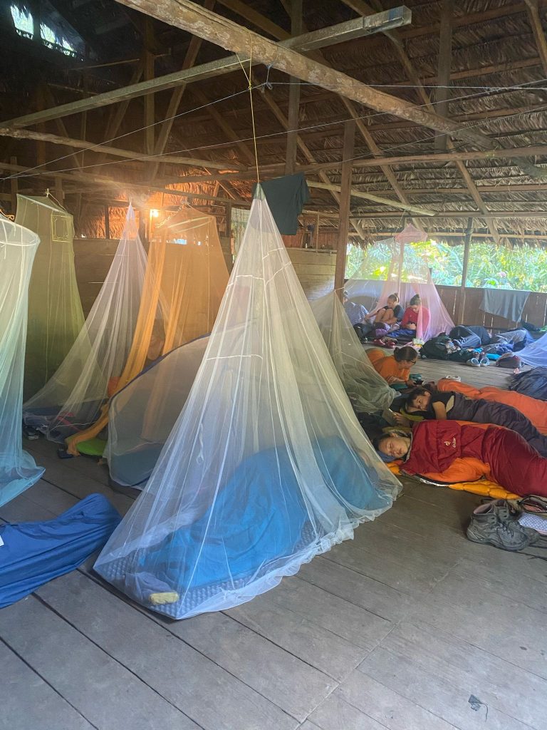 Schüler schlafen in Hängematten im Dschungel