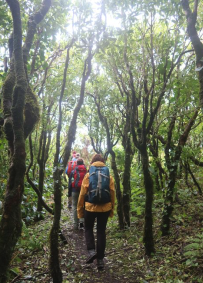 students hiking on the Azores