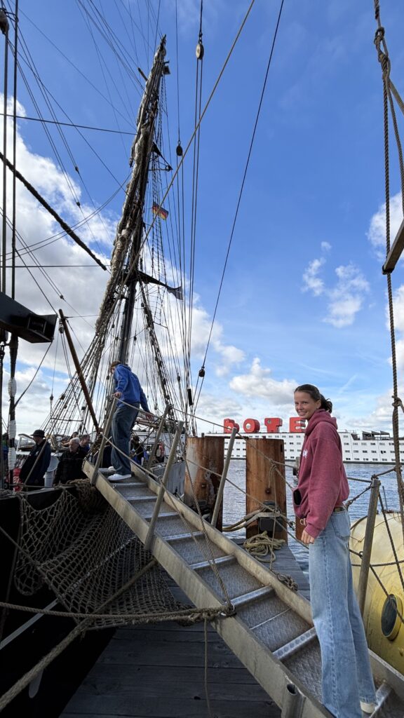 Das Schiff – ein Ameisenhaufen?