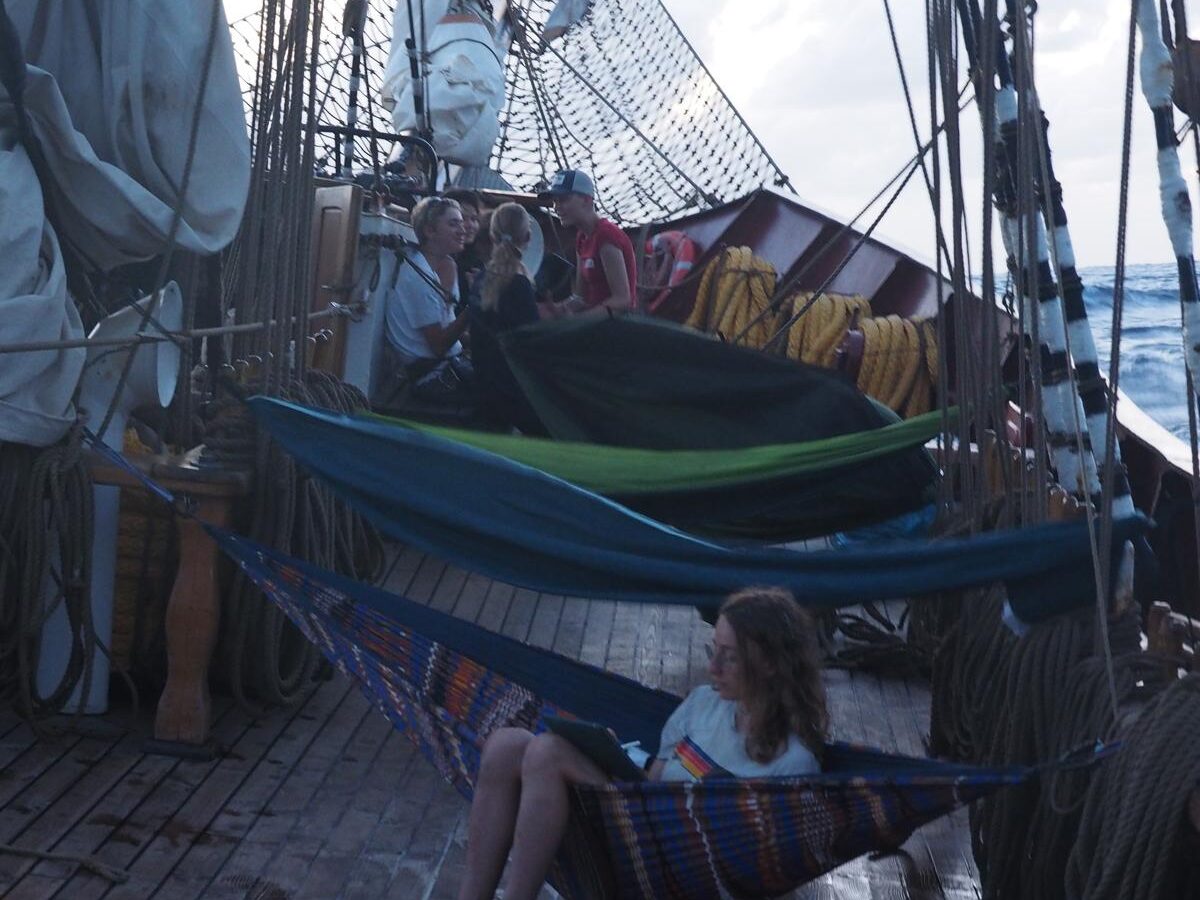 A very sunny St. Nicholas day with great food