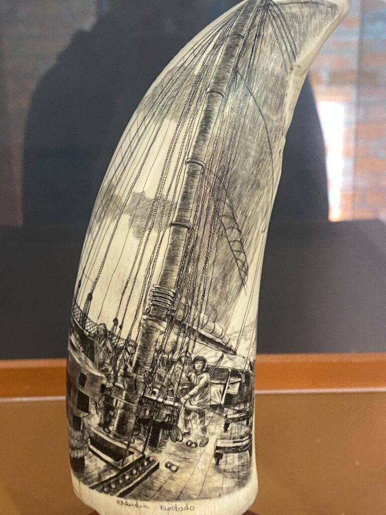 Whaling Museum