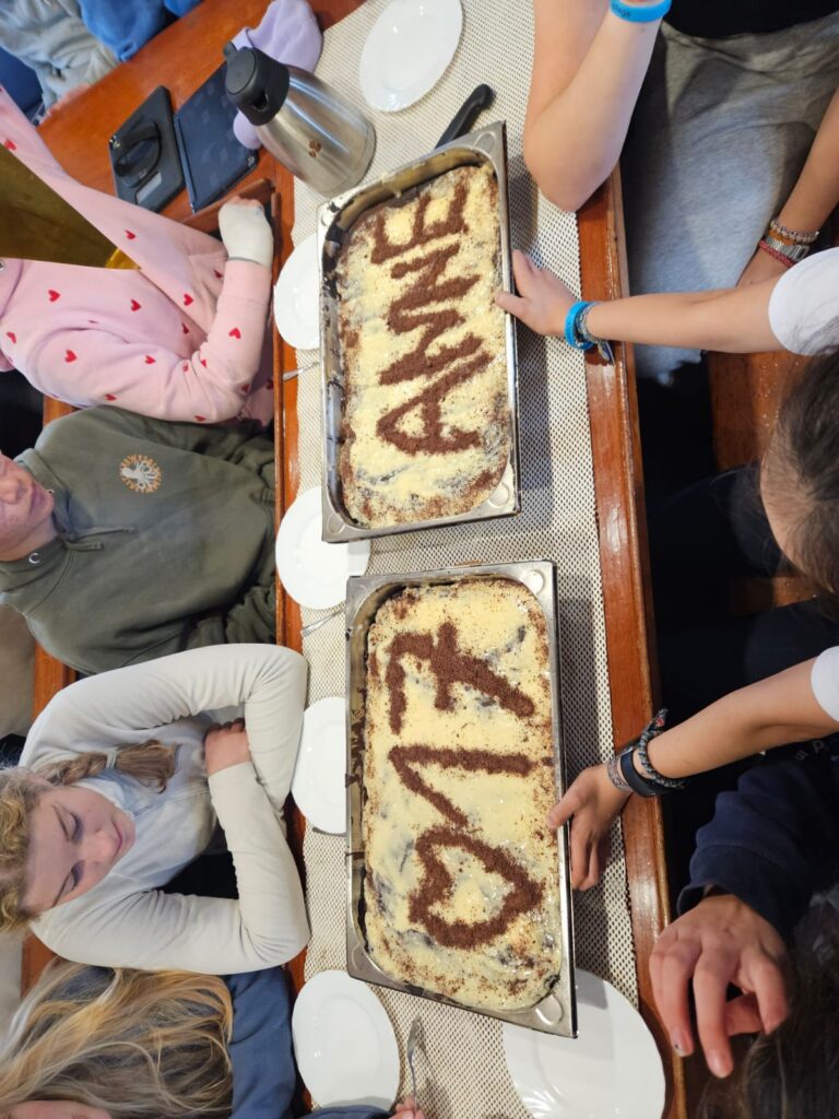 Reise Reise Delfinenkreise:)